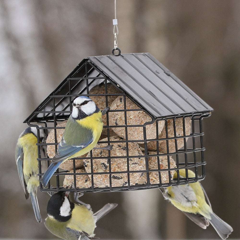 Schwarzer Meisenknödel-Futterspender Häuschen von Wildlife Garden mit gefüllten Knödeln 