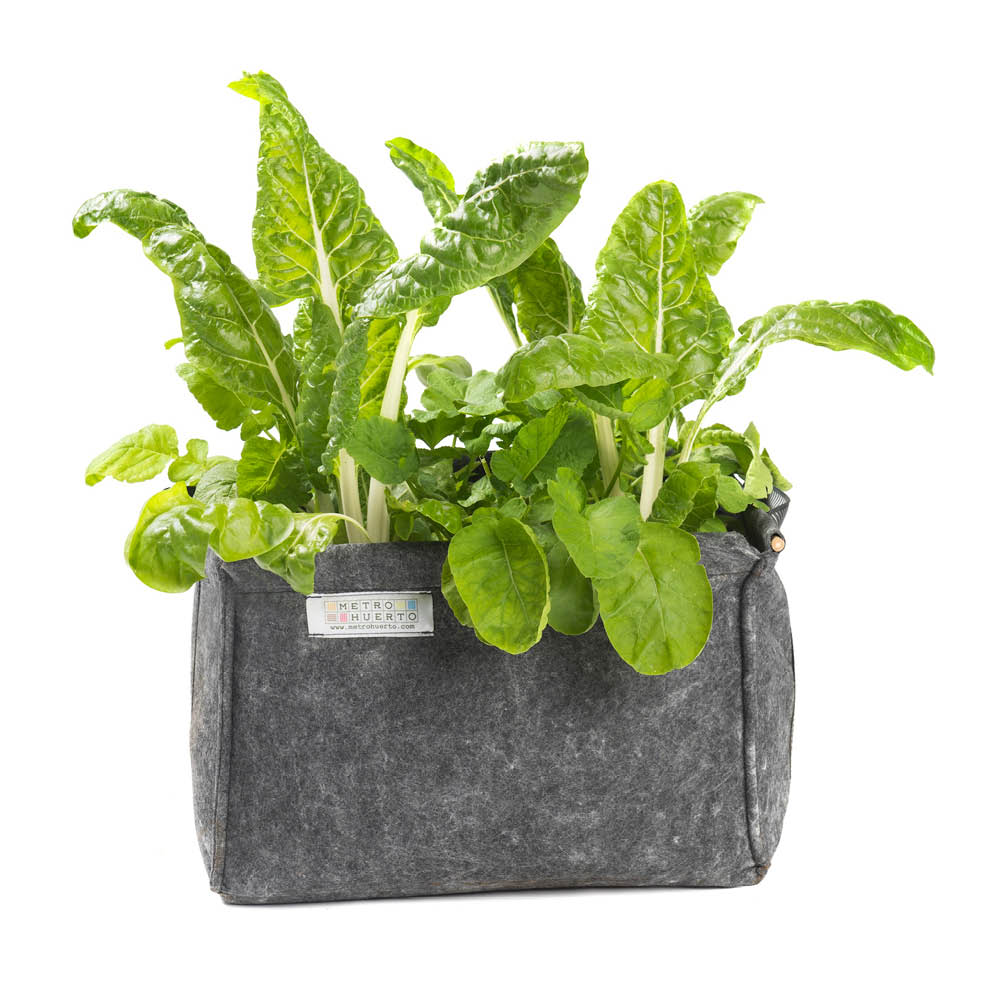 mini-quadratischer-gemuesegarten