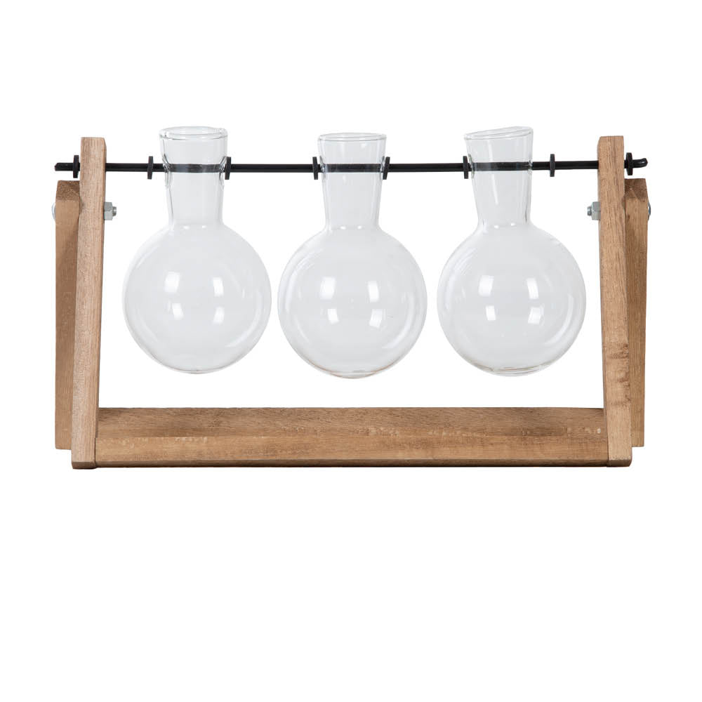 Stecklings-Set groß – Glasvasen im Holzständer mit Pflanze für Anzucht & Deko