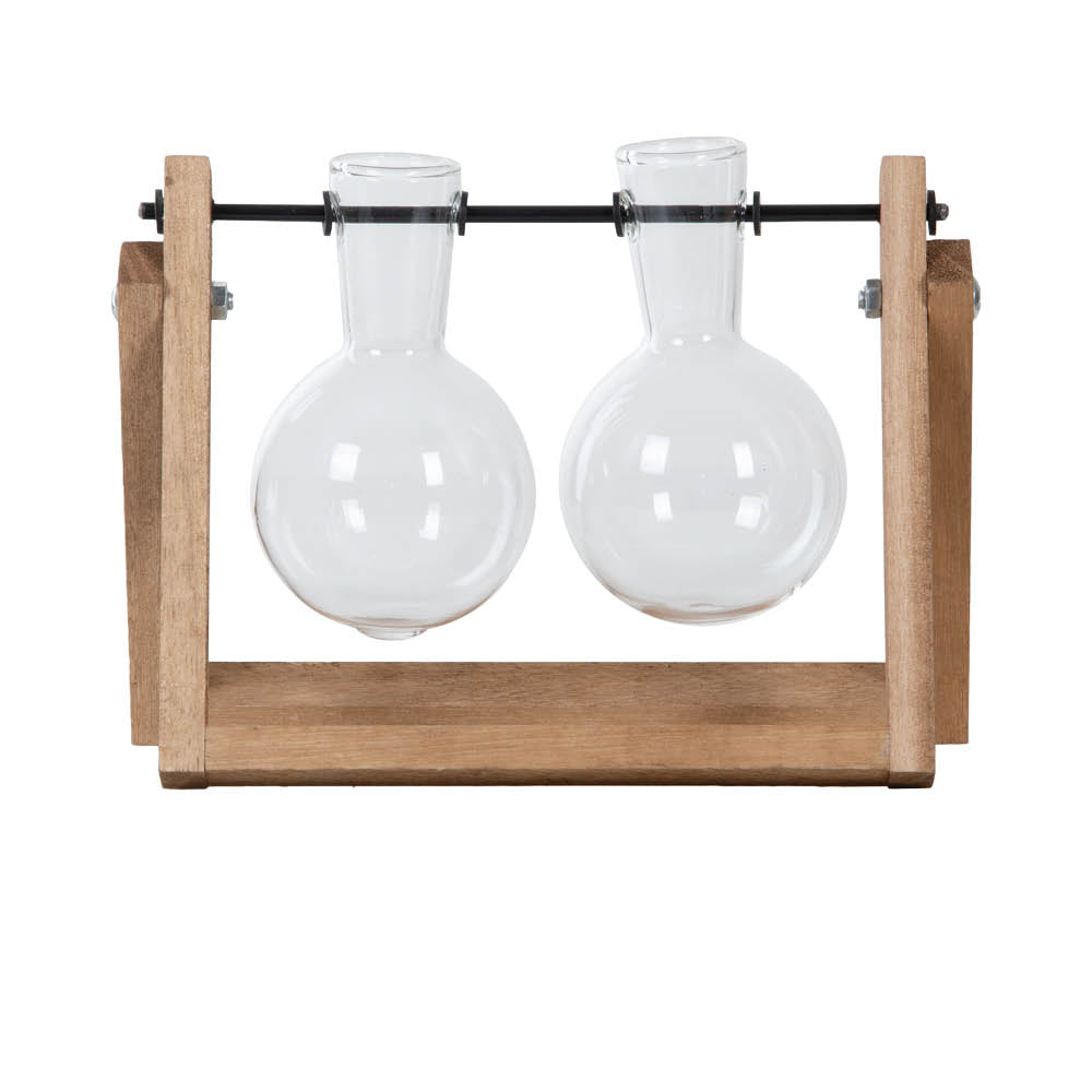 Kleines Stecklings-Set mit zwei Glasvasen – dekorative Pflanzenvermehrung