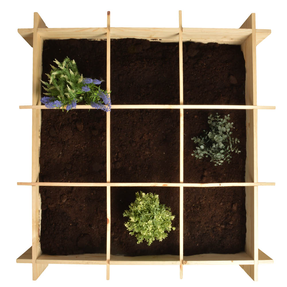 Holzbeet Ansicht von Oben mit neun Pflanzfeldern und Kräutern bepflanzt