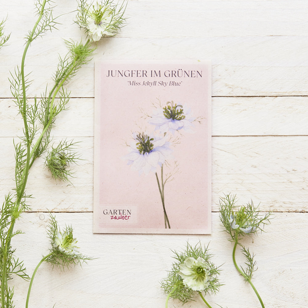 Vorderansicht Saatguttuete  Jungfer im Grünen - Nigella damascena 'Miss Jekyll Sky Blue'  aus der Gartenzauber-Saatgutserie dekoriert mit der blühenden Pflanze