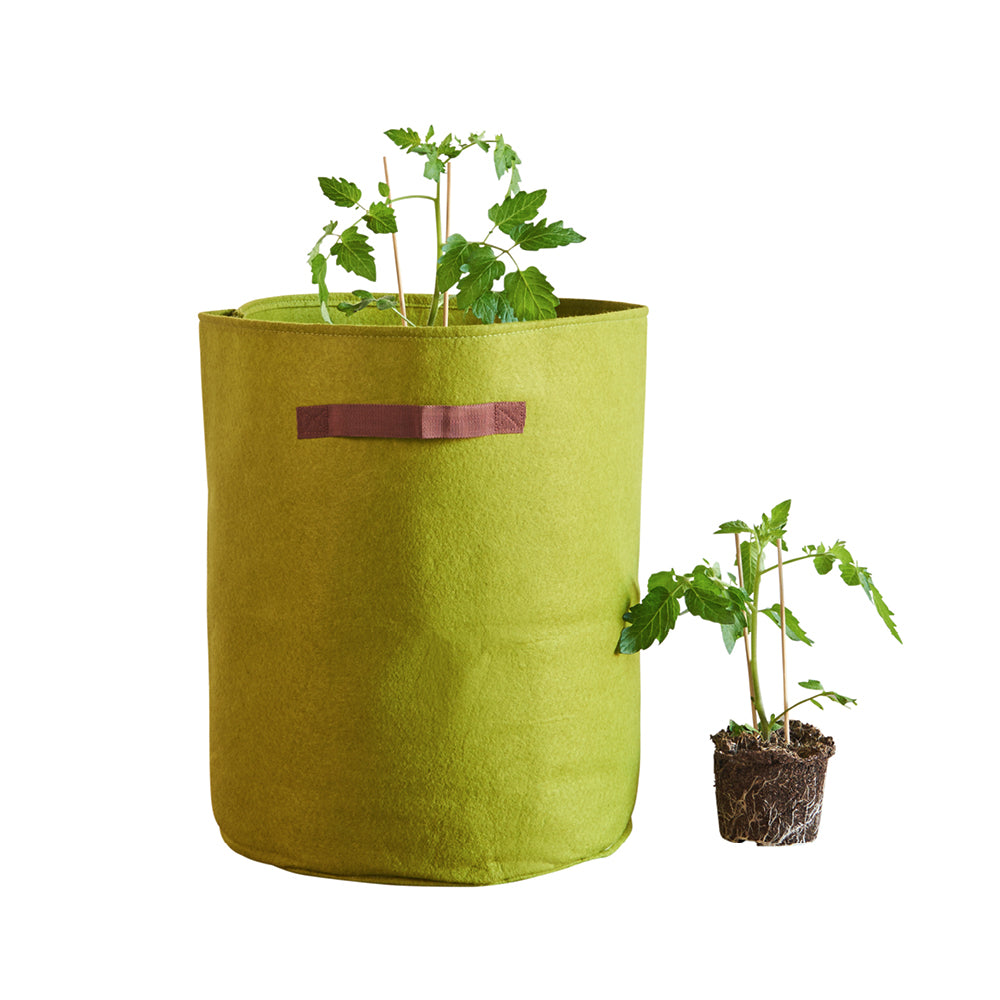 Kartoffel- und Tomaten-Pflanztasche Vigoroot von Haxnicks in Grün