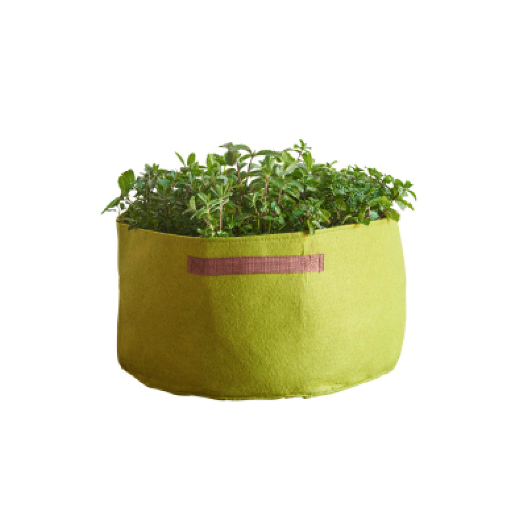 Bepflanzte Vigoroot Pflanztasche mit frischen Küchenkräutern