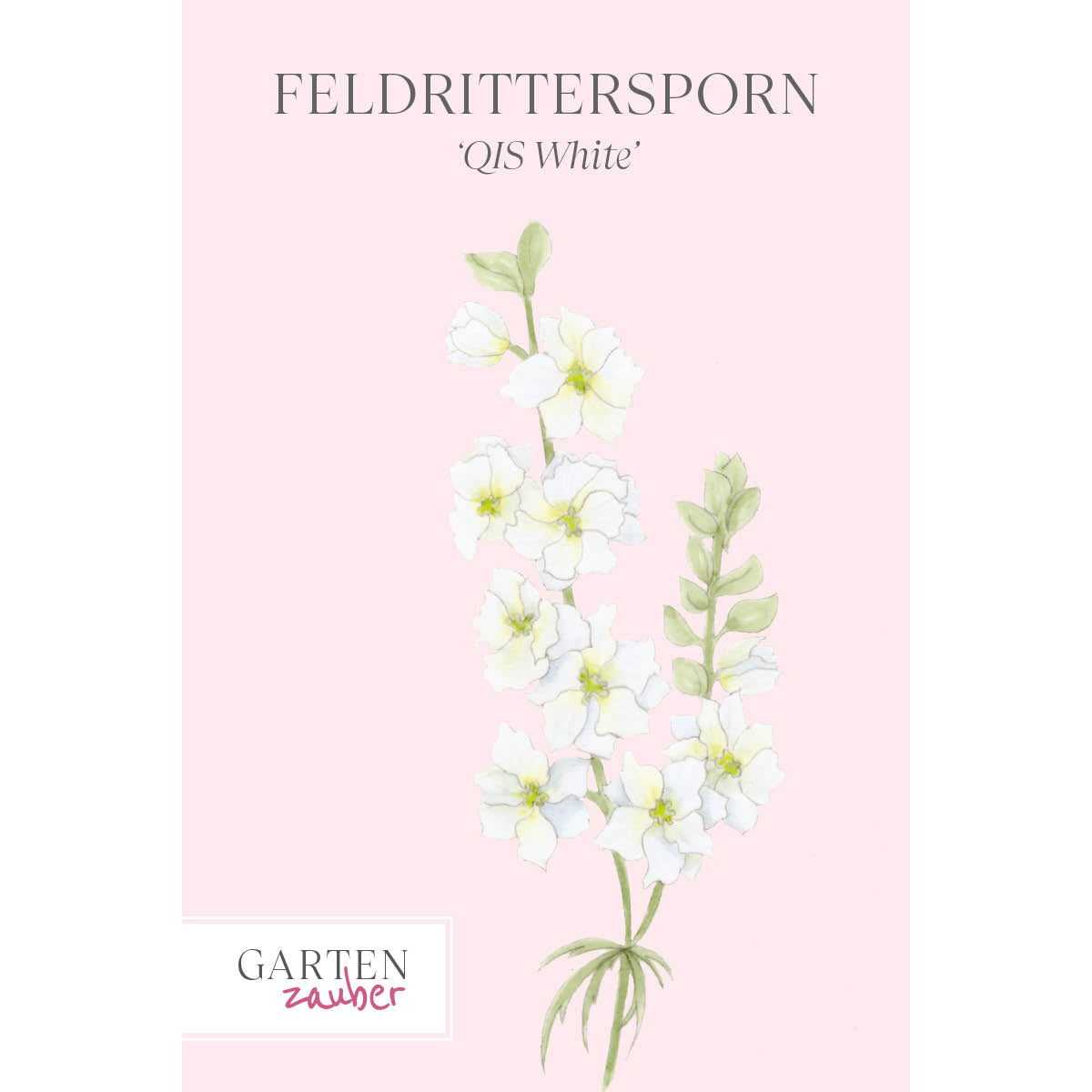 Vorderansicht Saatguttuete  Feldrittersporn - Delphinium consolida `QIS White` aus der Gartenzauber-Saatgutserie