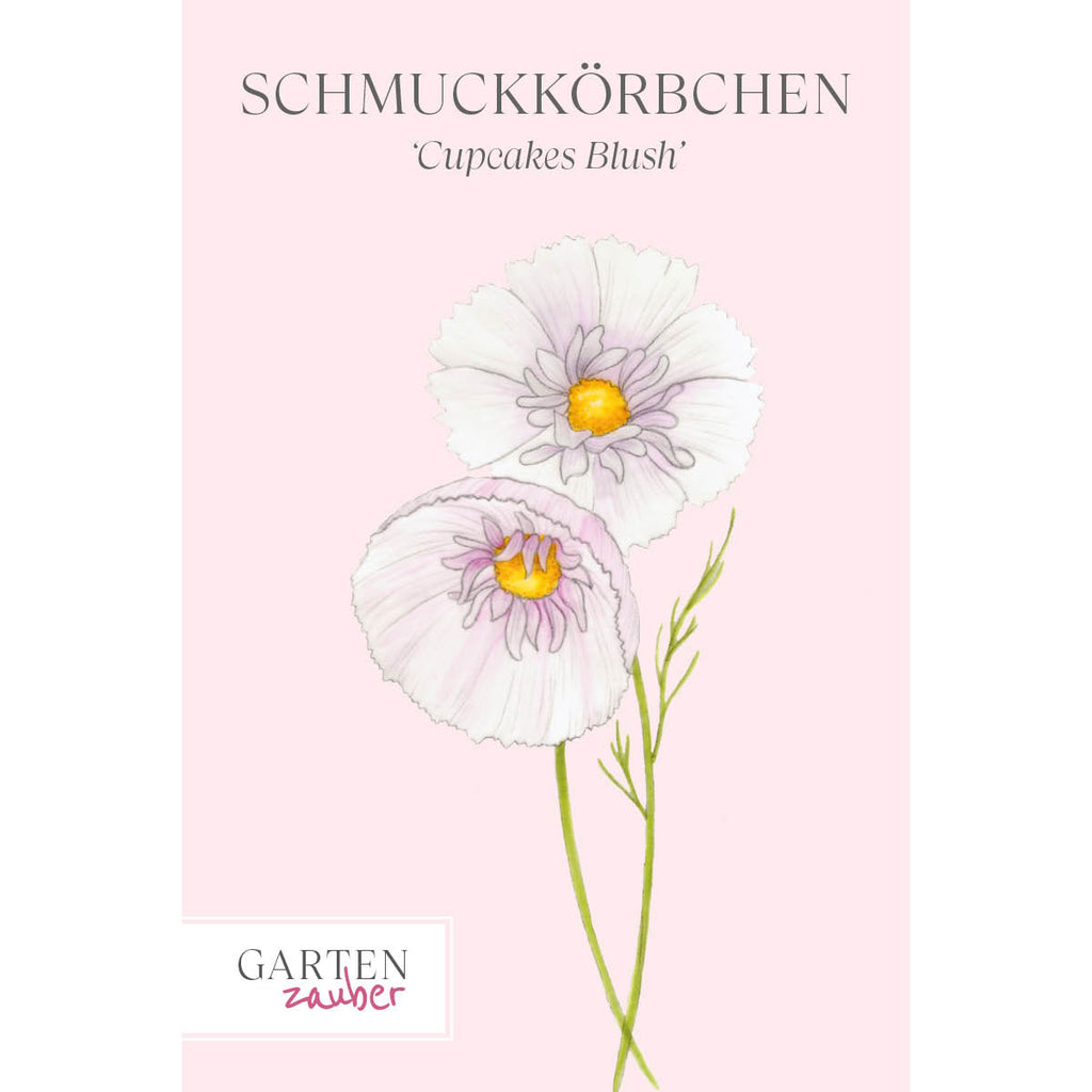 Schmuckkoerbchen Cupcakes Blush Kaufen Gartenzauber schmuckkoerbchen-cupcakes-blush-kaufen-gartenzauber
