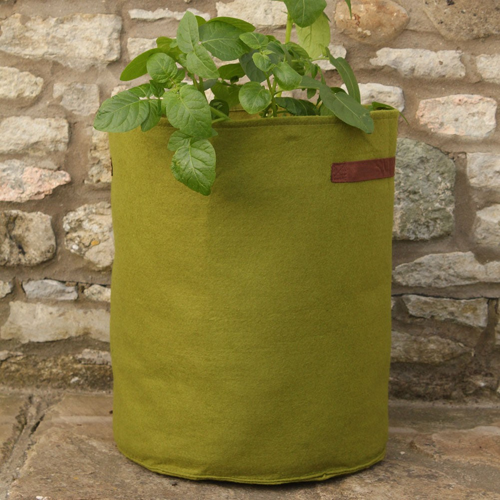 kartoffel-und-tomatenpflanztasche-vigoroot
